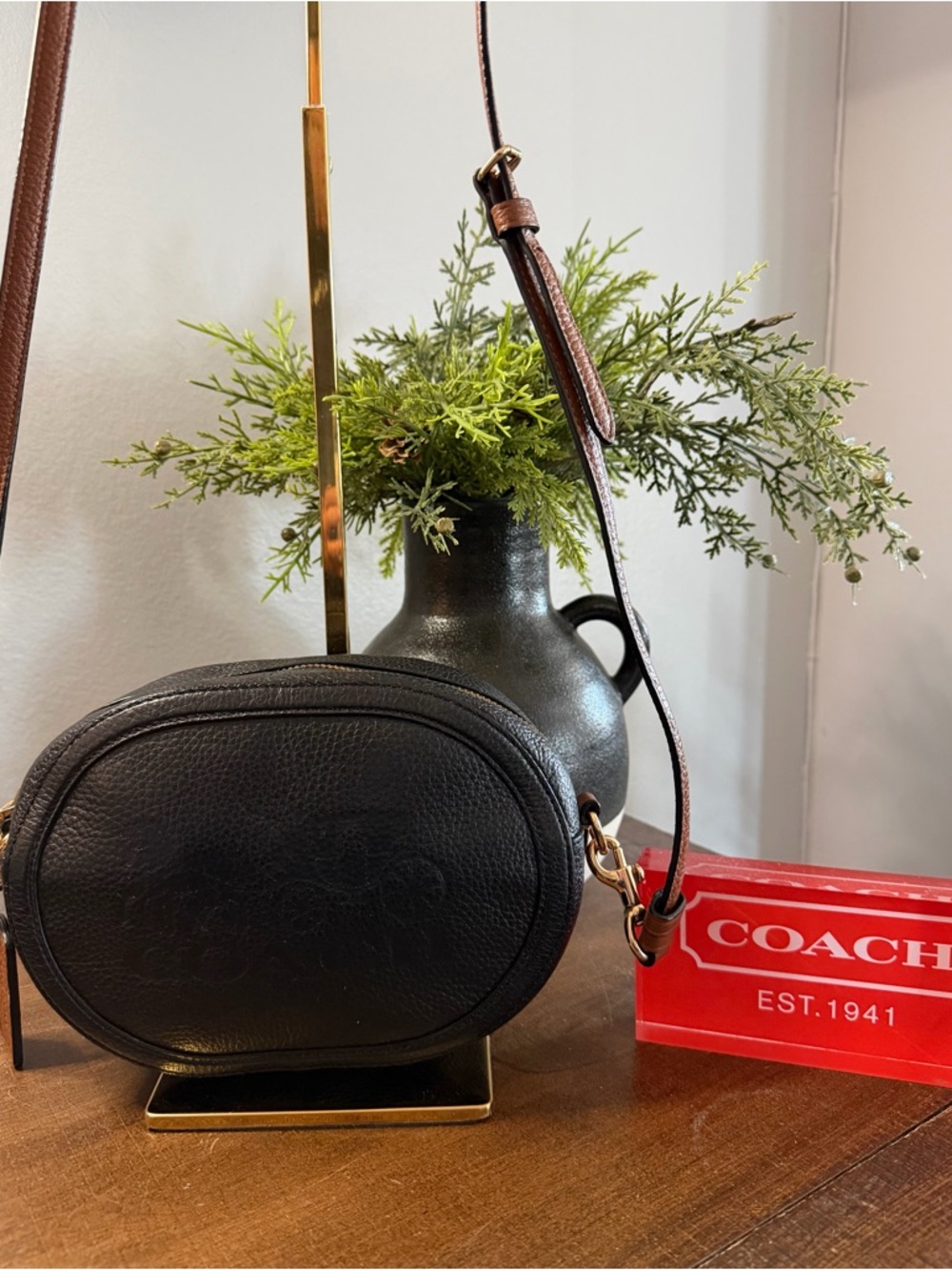 Coach Horse & Carriage Camera Bag